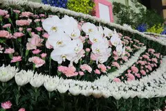 メモリアル福岡