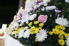 有限会社白鳳殿